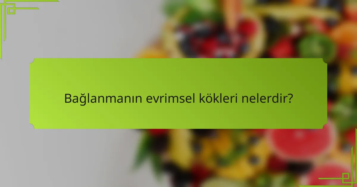 Bağlanmanın evrimsel kökleri nelerdir?