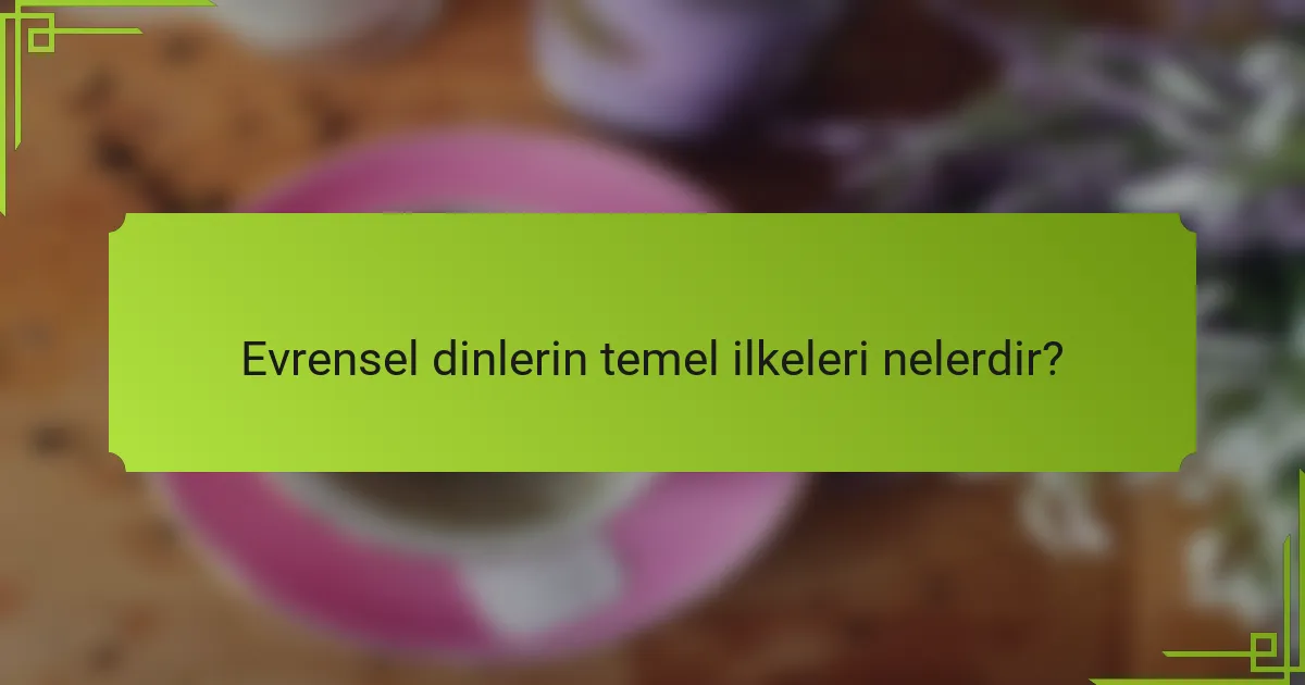 Evrensel dinlerin temel ilkeleri nelerdir?
