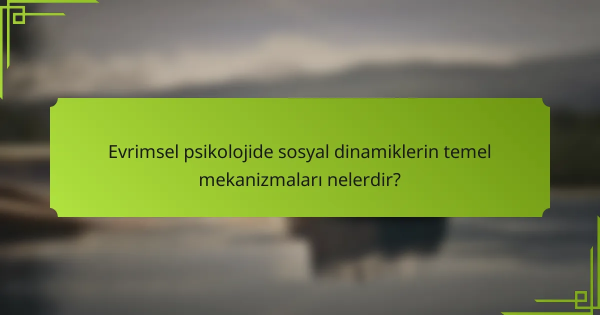 Evrimsel psikolojide sosyal dinamiklerin temel mekanizmaları nelerdir?